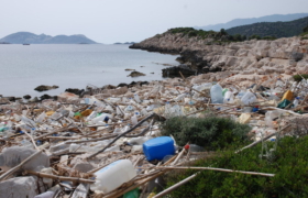 türkiye çöp ithal ediyor